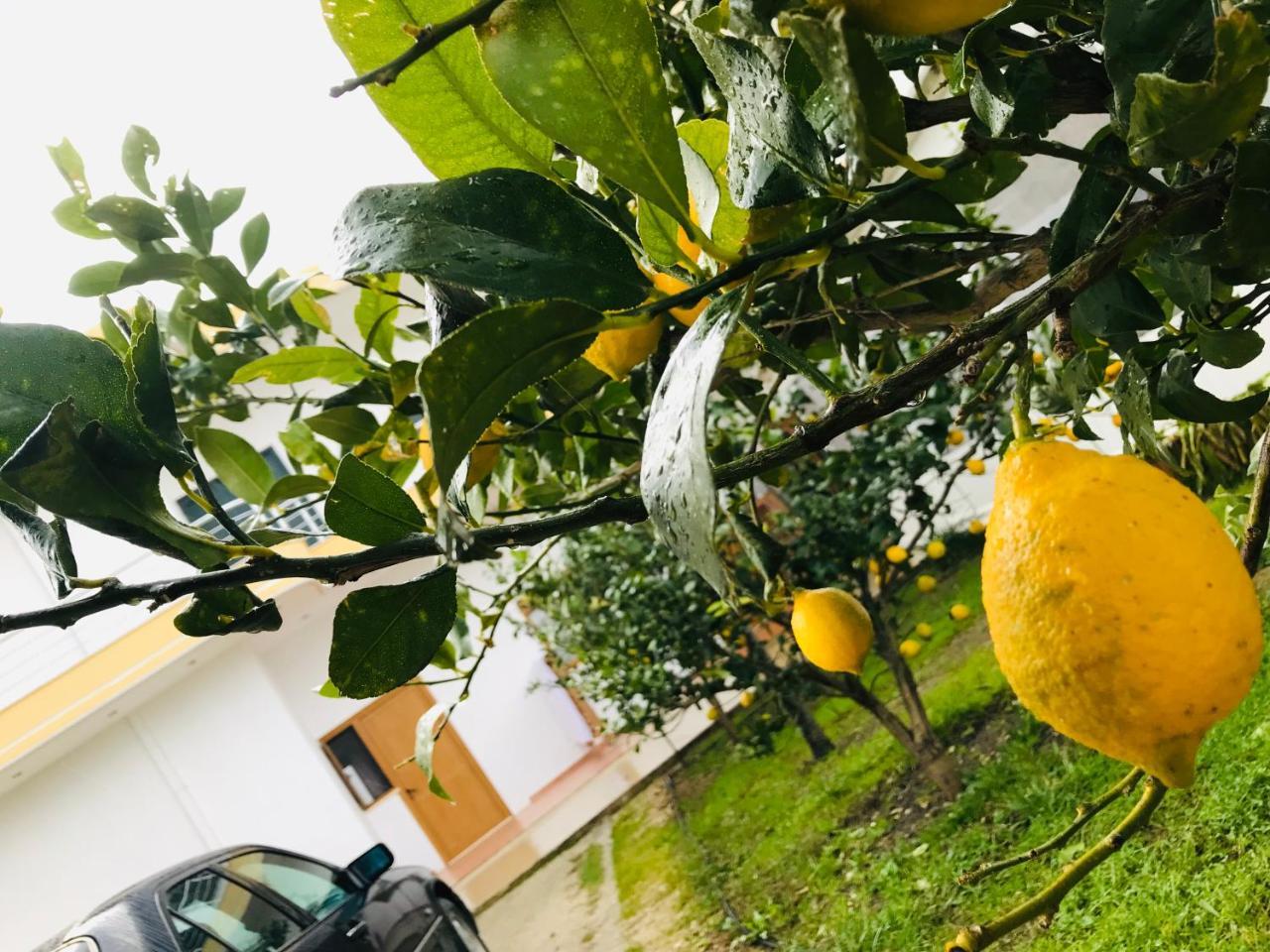 Kompleksi Turistik Edir Bashkia e Orikumit Exteriör bild